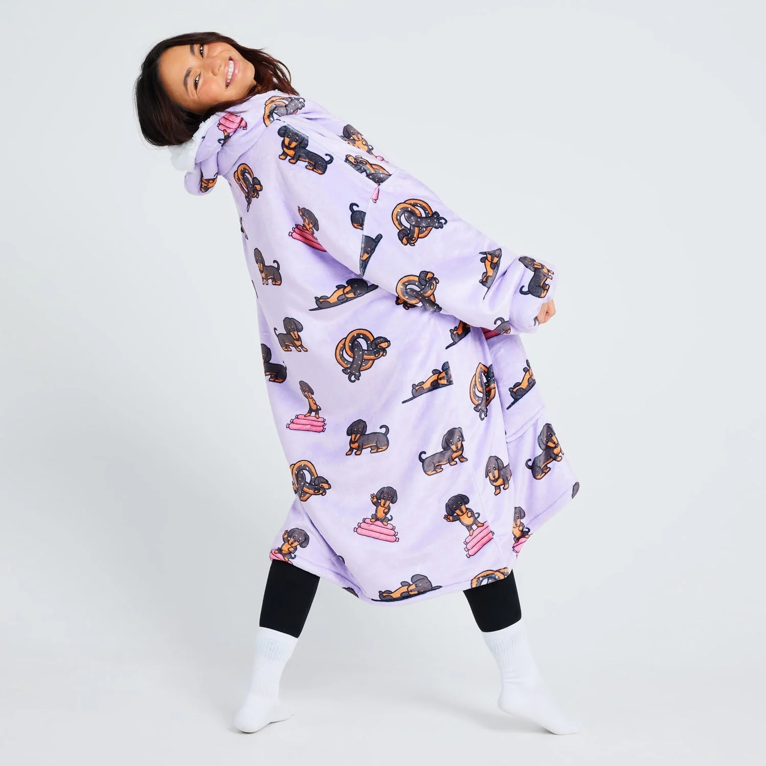 Dachshund - Image 5
