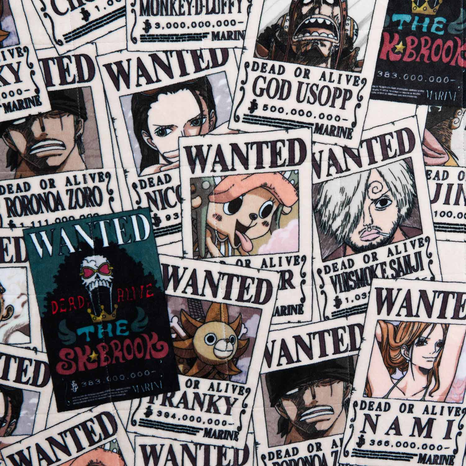 ONE PIECE Wanted Poster - Image 6